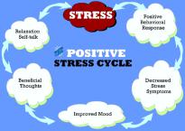 positive-stress-cycle